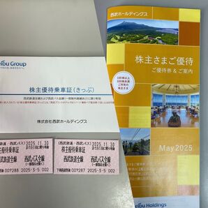株式会社西武ホールディングス株主優待乗車証2枚優待冊子1冊(100株以上500株未満株主)期限2025年11月30日