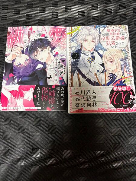 離婚予定の契約婚なのに、冷酷公爵様に執着されています3巻/執愛サイケデリカ1巻