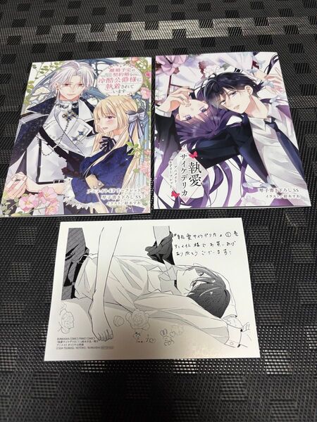 離婚予定の契約婚なのに、冷酷公爵様に執着されています 執愛サイケデリカ 特典のみ