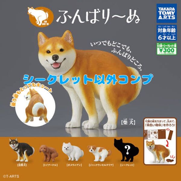 ふんばりーぬ シークレット以外コンプリート