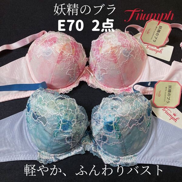 サイズE70 トリンプ 妖精のブラ530 ブラジャー 2点