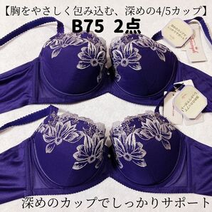 B75 トリンプ ストーリー 538 ブラジャー 2枚