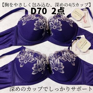 D70 トリンプ ストーリー 538 ブラジャー 2枚