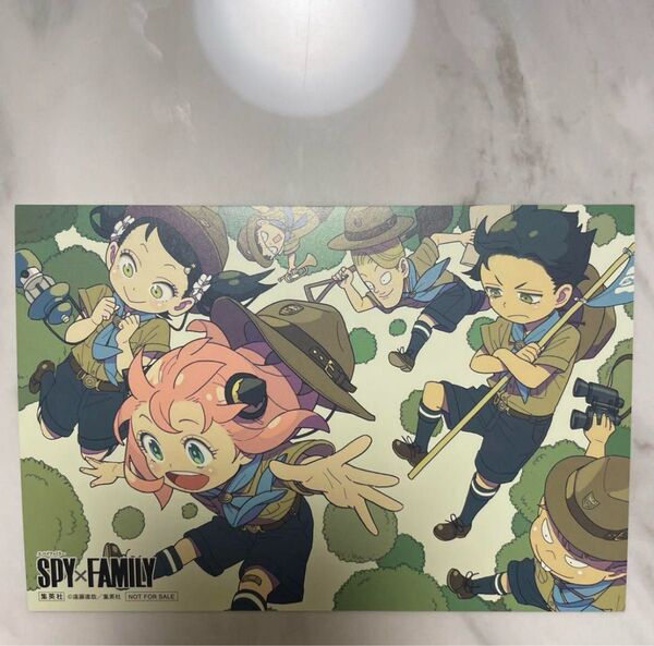 スパイファミリー 特典 限定 イラストカード 1枚