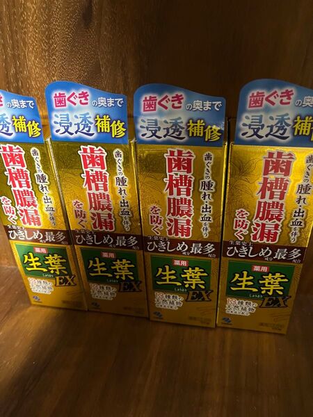 生葉EX 歯磨き粉 歯槽膿漏を防ぐ ひきしめ生葉 4点