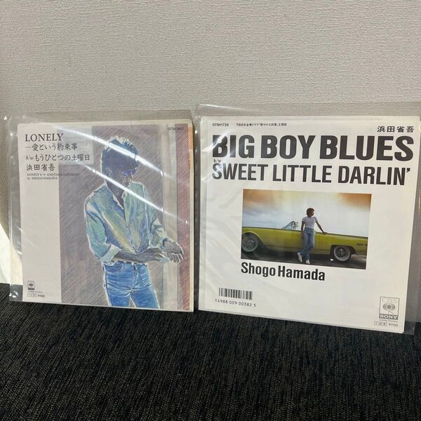 浜田省吾 レコード LONELY BIG BOY BLUES 二枚セット コレクション