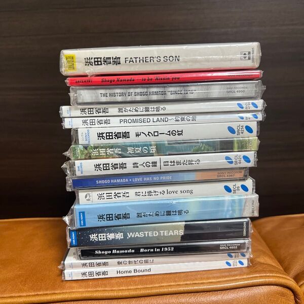 浜田省吾 CD 15枚 アルバム シングル 帯付き CD 未開封あり