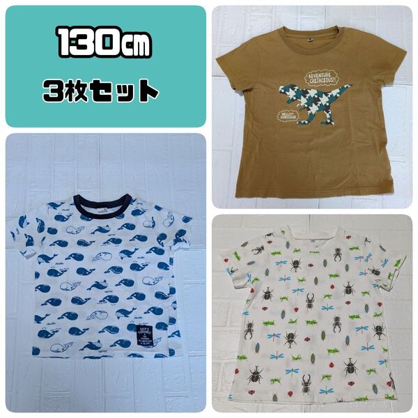 130cm Tシャツ 3枚セット くじら 恐竜 昆虫