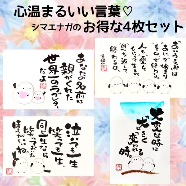 筆文字アート シマエナガ ギフト 感謝の気持ち おばあちゃんの教え 心に響くいい言葉 クーポン利用可!お得な4枚セット