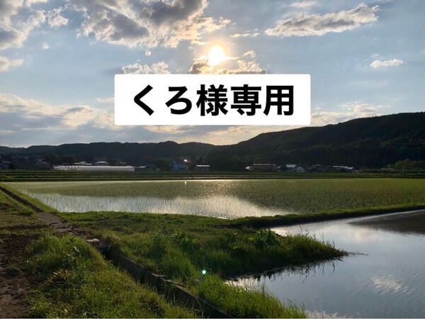 1205建具屋一筋58年のおじいちゃんの手作りスツール、イス☆くわ 椅子