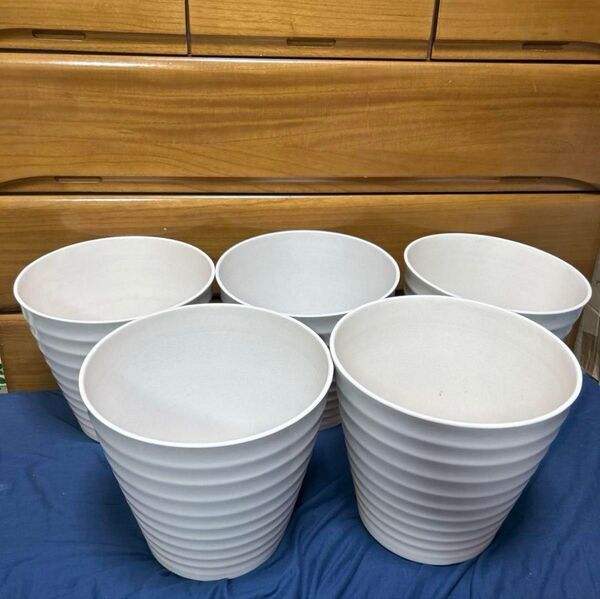 竹が原料の植木鉢5個 胡蝶蘭鉢 胡蝶蘭株 胡蝶蘭苗 観葉植物 コチョウラン