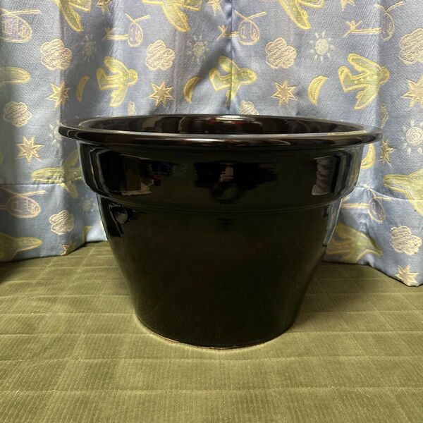 格安!1個限定!超大型 黒 陶器鉢 植木鉢 胡蝶蘭鉢 胡蝶蘭株苗 コチョウラン