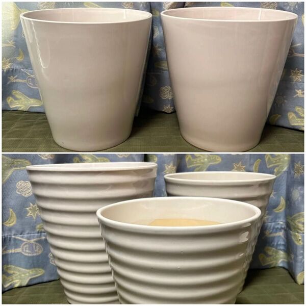 格安!ビッグサイズ!シンプル陶器鉢 2個 & 大きめ横シマ柄 陶器鉢 3個 植木鉢 胡蝶蘭鉢 胡蝶蘭株苗 コチョウラン 蘭鉢
