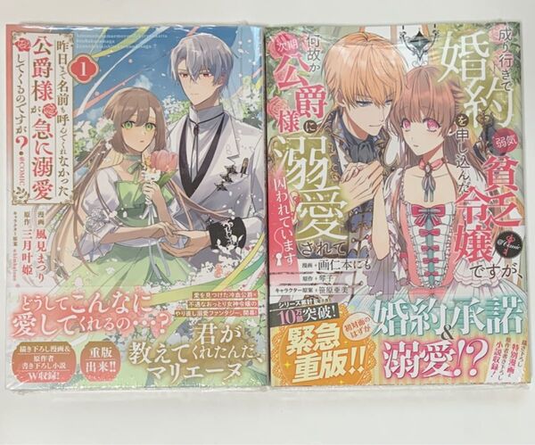 昨日まで名前も呼んでくれなかった公爵様が、急に溺愛してくるのですが? 1巻 成り行きで婚約を申し込んだ弱気貧乏令嬢ですが、1巻