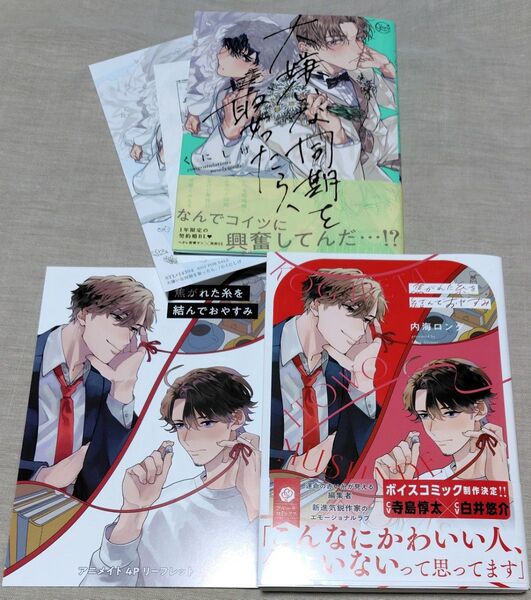 『大嫌いな同期を娶ったら』ブロマイド・ペーパー くにしげ『焦がれた糸を結んでおやすみ』リーフレット 内海ロング