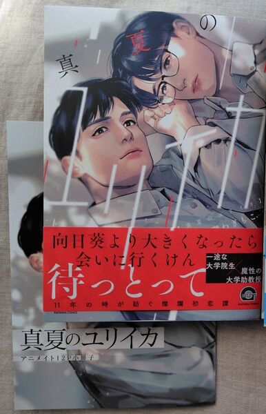 『真夏のユリイカ』アニメイト12P小冊子 吾瀬わぎもこ 再出品可能