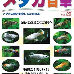 【即発送】メダカ百華 20号 最新刊 メダカ百華Vol 20 メダカ 観賞魚