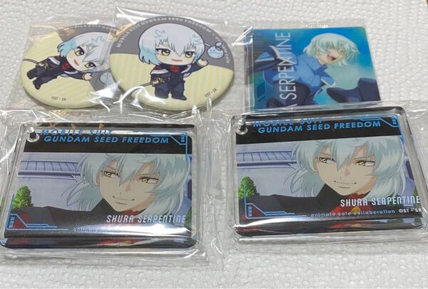 ガンダムSEED FREEDOM アニメイトカフェ コロッタ 缶バッジ シュラ
