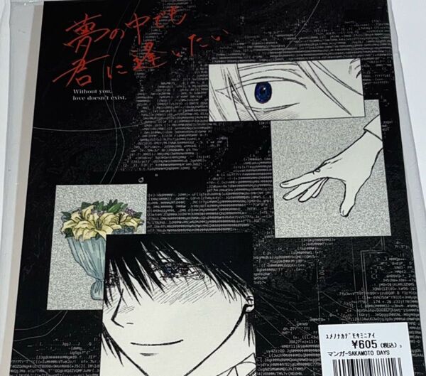 夢の中でも君に逢いたい 一心二心御乱心 NIKA ナグシン 同人誌 sakamoto days