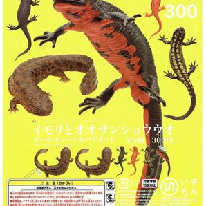 ネイチャーテクニカラー MONO PLUS イモリとオオサンショウウオ ボールチェーン & マグネット 全 6種 セット