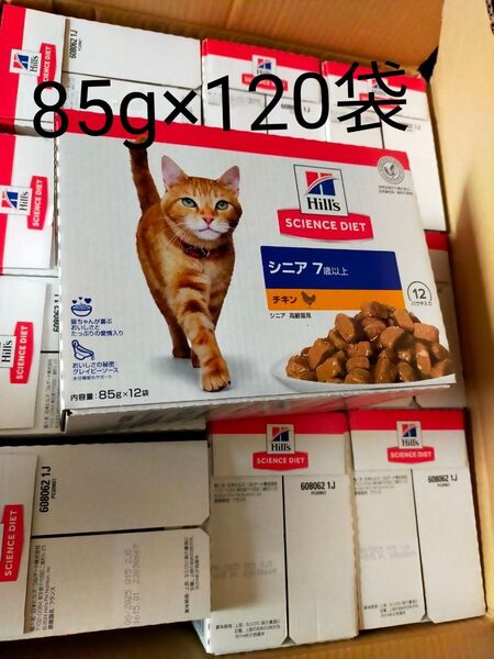 ヒルズ サイエンスダイエット キャットフード シニア 7歳以上 チキン パウチ 85g×120袋 高齢猫用 ウェット