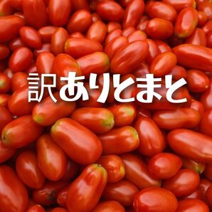 訳ありトマト1キロ