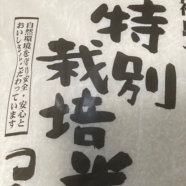 特別栽培米 減農薬80%以下 コシヒカリ 白米 福島県令和6年産 10kg(5kg×2袋)令和7年4月上旬精米
