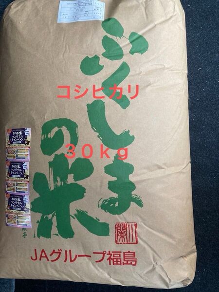 福島県産 コシヒカリ 玄米 30kg 令和6年産