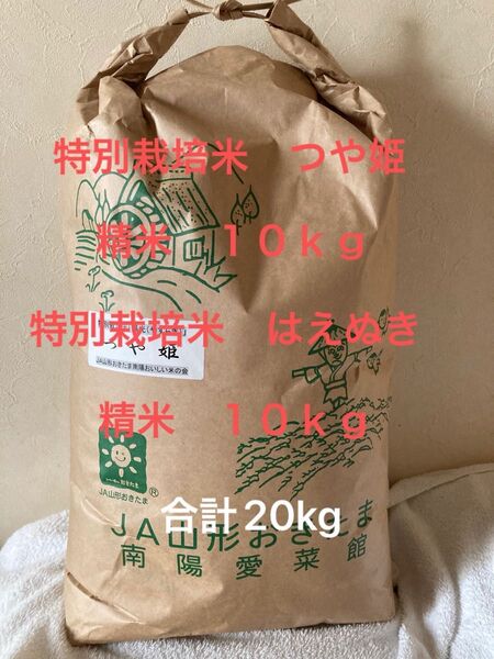 山形県産 特別栽培米 つや姫 10kg はえぬき 10kg セットで 合計 20kg 白米 令和6年産