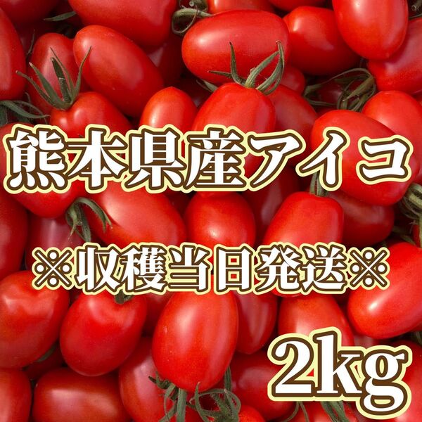 熊本県産ミニトマト アイコ 2kg