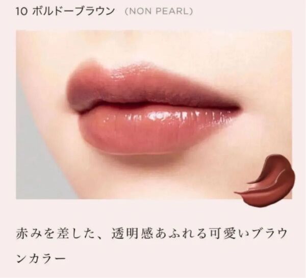 新品 Opera オペラ リップティント N (10 ボルドーブラウン)