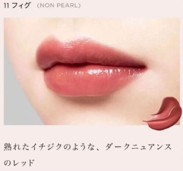 Opera オペラ 11 フィグ リップティントN