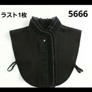 新品 レディース トップス ファッション小物 つけ襟 レース ブラウス風 フリル 立ち襟 ブラック