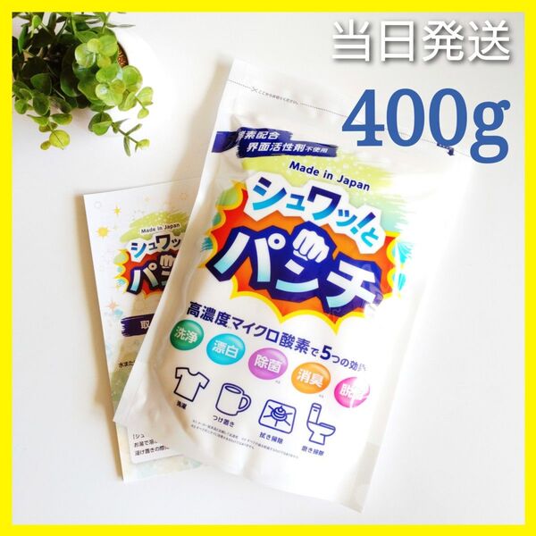 ◆当日発送◆ シュワッとパンチ 400g【お試し】★取扱説明書コピー付