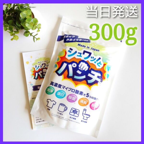 ◆当日発送◆ シュワッとパンチ 300g【お試し】★取扱説明書コピー付