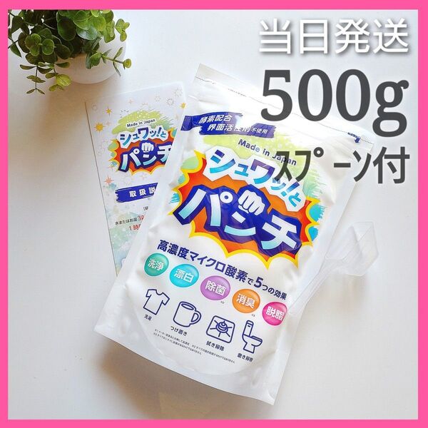 ◆当日発送◆ シュワッとパンチ 500g【お試し】★計量スプーン・取扱説明書コピー付