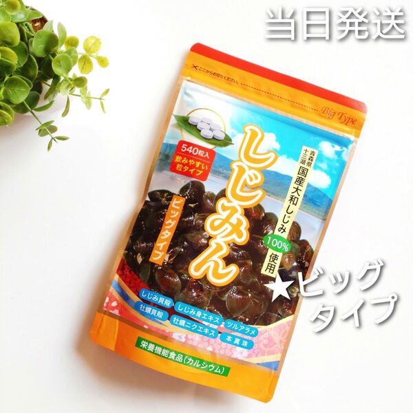 ◇当日発送◇ はつらつ堂 しじみん ビッグタイプ 540粒【新品未開封】