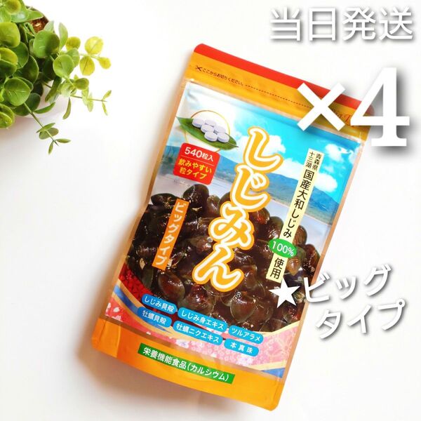 ◇当日発送◇ はつらつ堂 しじみん ビッグタイプ 540粒 4袋【新品未開封】