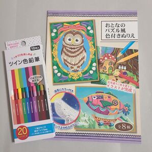 おとなのパズル風色付きぬりえ 入門セット!