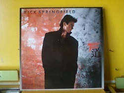 ロック Rick Springfield / Tao LPです。