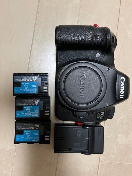 Canon EOS 6D ボディ ショット数 43659