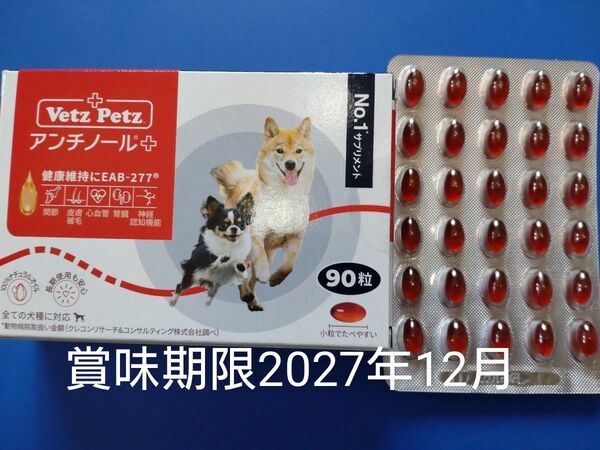 アンチノールプラス 犬用アンチノール