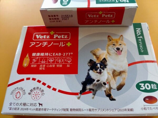 アンチノールプラス 1箱30粒 アンチノール