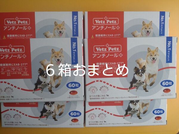アンチノールプラス 60粒6箱おまとめ アンチノール