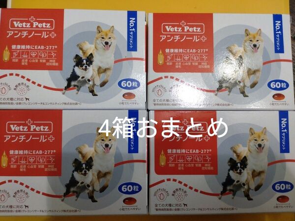 アンチノールプラス 60粒4箱 おまとめ アンチノール