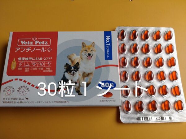 アンチノールプラス 犬用アンチノール