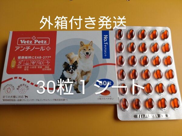 アンチノールプラス 犬用アンチノール