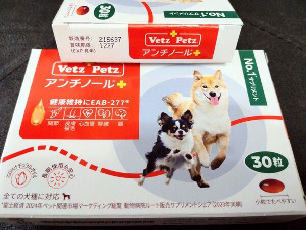 アンチノールプラス 1箱30粒 アンチノール