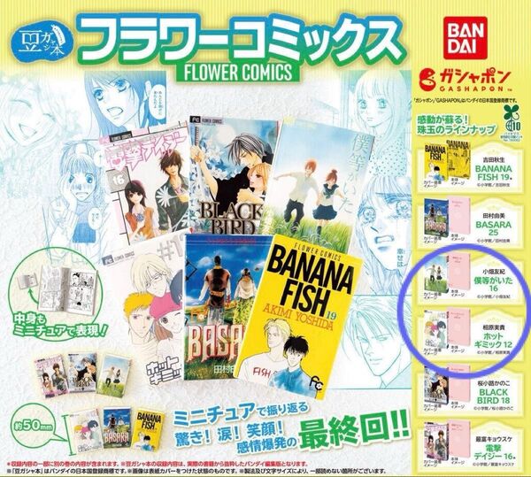 豆ガシャ本 「フラワーコミックス」僕等がいた ホットギミック 2点セット ガチャ