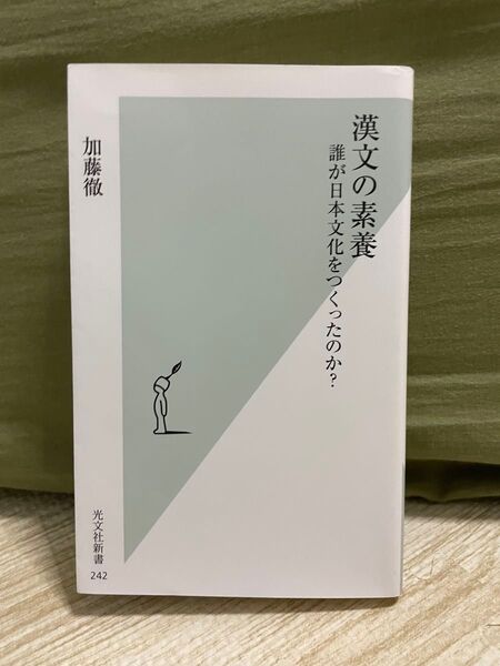 漢文の素養 誰が日本文化をつくったのか? 加藤徹 光文社新書